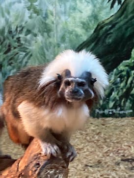 伊豆シャボテン動物公園に投稿された画像（2021/10/27）