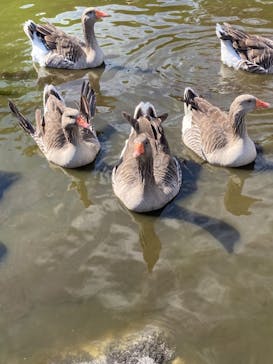 伊豆シャボテン動物公園に投稿された画像（2021/10/27）