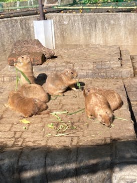 伊豆シャボテン動物公園に投稿された画像（2021/10/27）