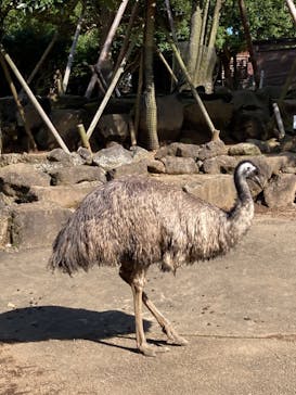 伊豆シャボテン動物公園に投稿された画像（2021/10/27）