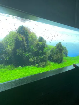 すみだ水族館に投稿された画像（2021/10/27）