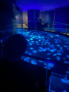 すみだ水族館に投稿された画像（2021/10/27）