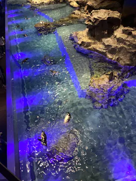 すみだ水族館に投稿された画像（2021/10/27）