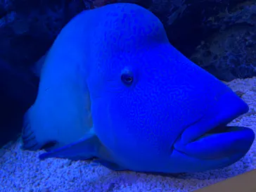 すみだ水族館に投稿された画像（2021/10/27）