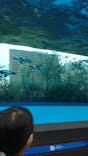 サンシャイン水族館に投稿された画像（2021/10/27）