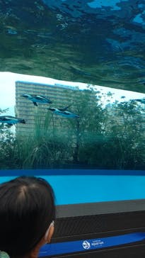 サンシャイン水族館に投稿された画像（2021/10/27）