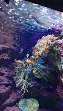 サンシャイン水族館に投稿された画像（2021/10/27）