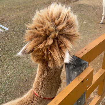 牧歌の里に投稿された画像（2021/10/27）