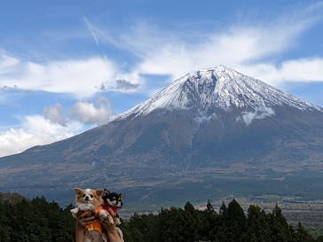 まかいの牧場に投稿された画像（2021/10/27）