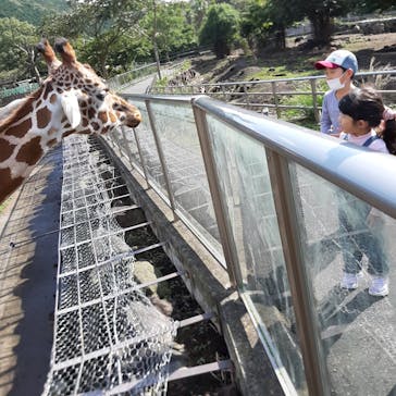 伊豆アニマルキングダムに投稿された画像（2021/10/27）