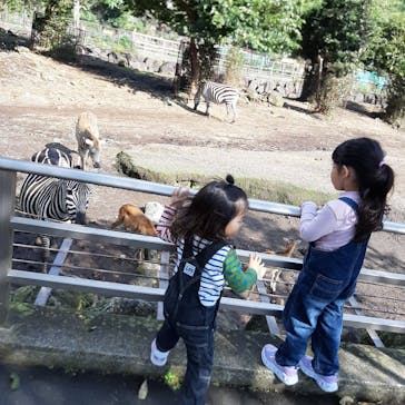 伊豆アニマルキングダムに投稿された画像（2021/10/27）