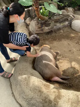 神戸どうぶつ王国に投稿された画像（2021/10/27）