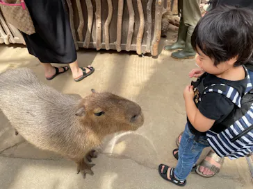 神戸どうぶつ王国に投稿された画像（2021/10/27）