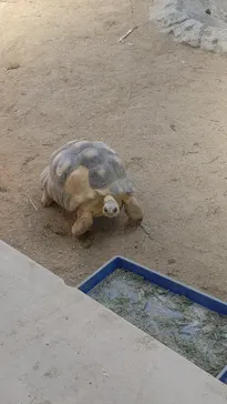 天王寺動物園に投稿された画像（2021/10/28）