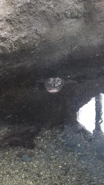 天王寺動物園に投稿された画像（2021/10/28）