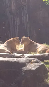 天王寺動物園に投稿された画像（2021/10/28）
