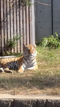 天王寺動物園に投稿された画像（2021/10/28）