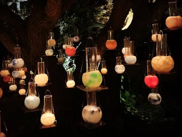 江の島シーキャンドルに投稿された画像（2021/10/28）