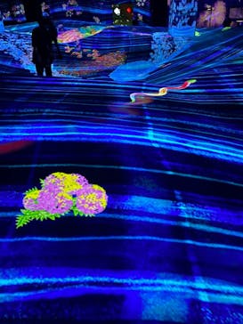 森ビル デジタルアート ミュージアム：エプソン チームラボボーダレスに投稿された画像（2021/10/28）