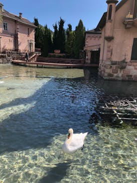 河口湖 音楽と森の美術館に投稿された画像（2021/10/28）