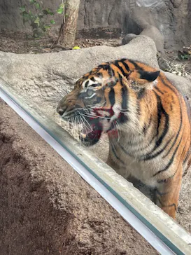 神戸どうぶつ王国に投稿された画像（2021/10/28）