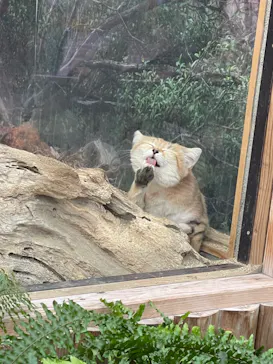 神戸どうぶつ王国に投稿された画像（2021/10/28）