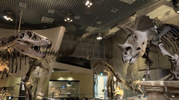 国立科学博物館に投稿された画像（2021/10/28）