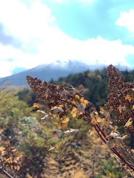 鬼押出し園に投稿された画像（2021/10/28）