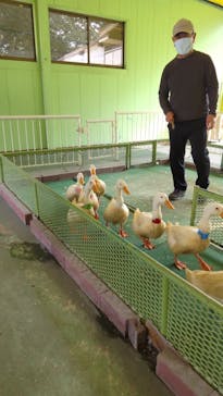 別府ケーブルラクテンチに投稿された画像（2021/10/28）