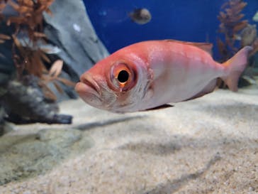 マリンワールド海の中道に投稿された画像（2021/10/28）