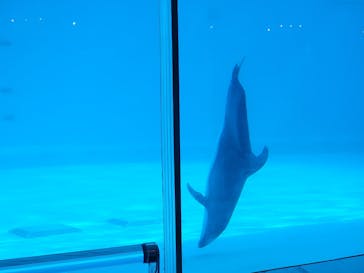 マリンワールド海の中道に投稿された画像（2021/10/28）