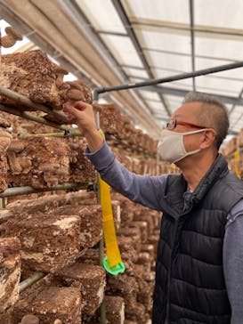 永島農園に投稿された画像（2021/10/28）