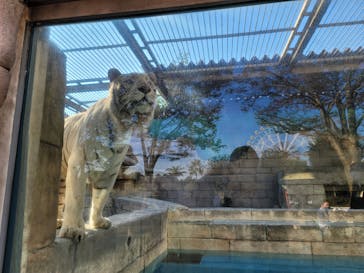 東武動物公園に投稿された画像（2021/10/28）