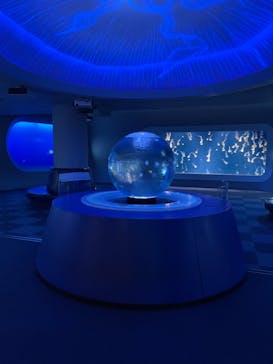 新江ノ島水族館に投稿された画像（2021/10/28）