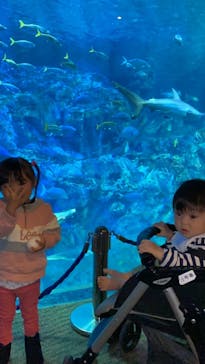 大分マリーンパレス水族館 「うみたまご」に投稿された画像（2021/10/28）