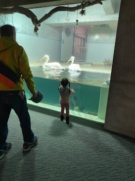 大分マリーンパレス水族館 「うみたまご」に投稿された画像（2021/10/28）