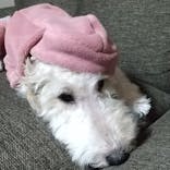 スカイスパYOKOHAMAに投稿された画像（2021/10/28）