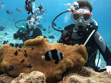 青の洞窟専門店　沖縄ダイビングショップ和に投稿された画像（2021/10/28）