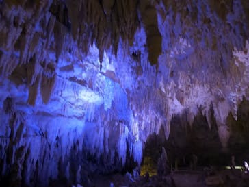 おきなわワールドに投稿された画像（2021/10/28）