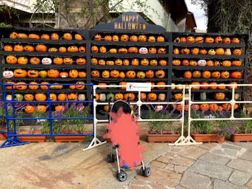 ひらかたパークに投稿された画像（2021/10/28）