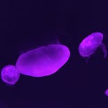 サンシャイン水族館に投稿された画像（2021/10/28）