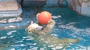 天王寺動物園に投稿された画像（2021/10/28）