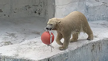 天王寺動物園に投稿された画像（2021/10/28）
