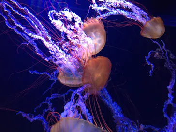 すみだ水族館に投稿された画像（2021/10/28）