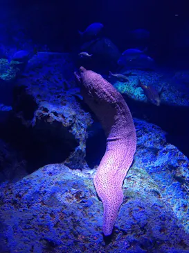 すみだ水族館に投稿された画像（2021/10/28）