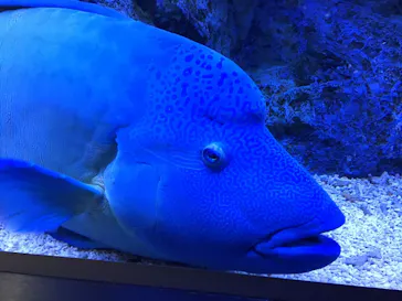すみだ水族館に投稿された画像（2021/10/28）