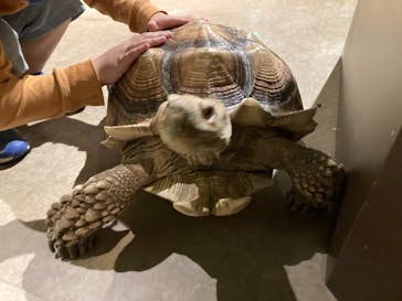 Moff animal world MARK IS みなとみらい店に投稿された画像（2021/10/28）