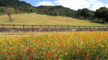 淡路ファームパーク イングランドの丘に投稿された画像（2021/10/29）