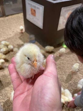 Moff animal world MARK IS みなとみらい店に投稿された画像（2021/10/29）