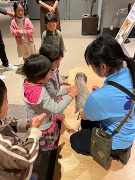 Moff animal world MARK IS みなとみらい店に投稿された画像（2021/10/29）